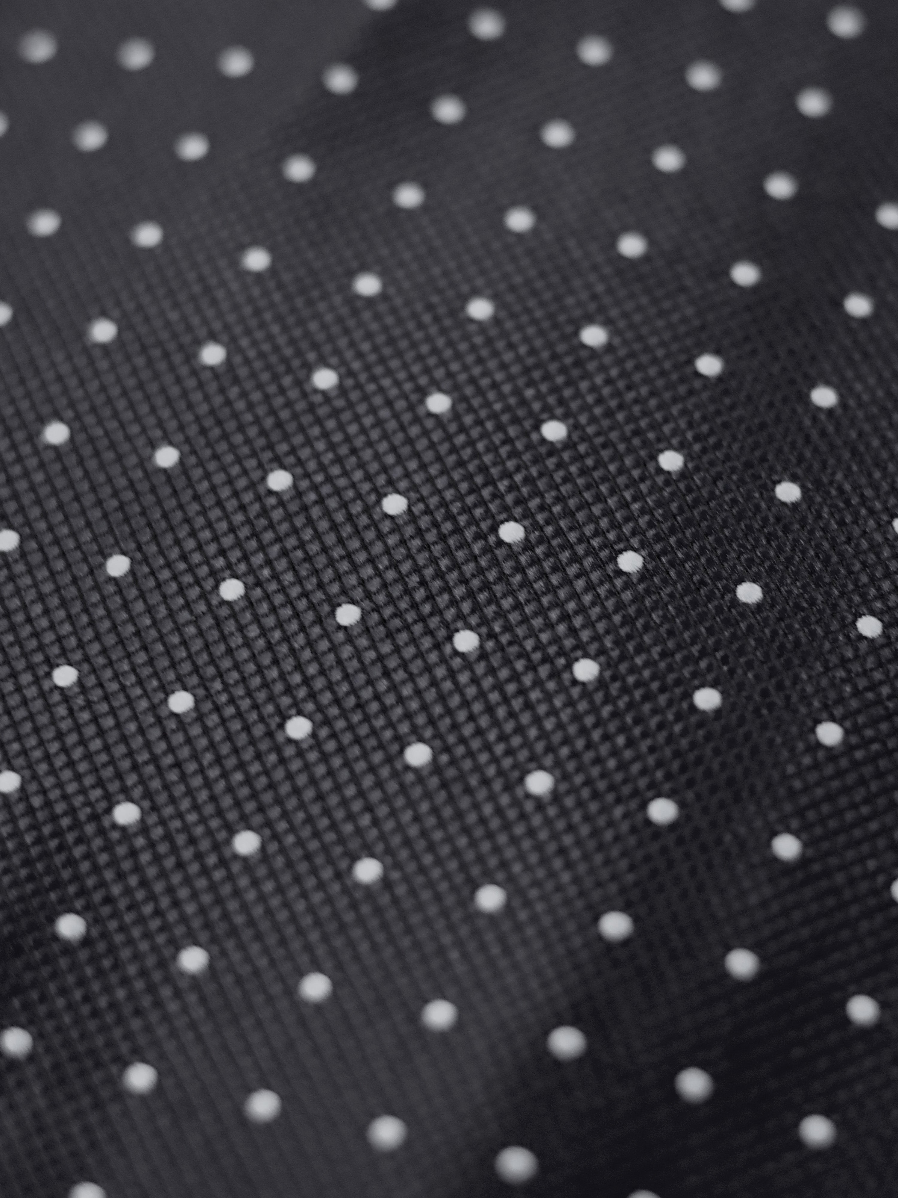 Ascot Tie Polka-dot Black