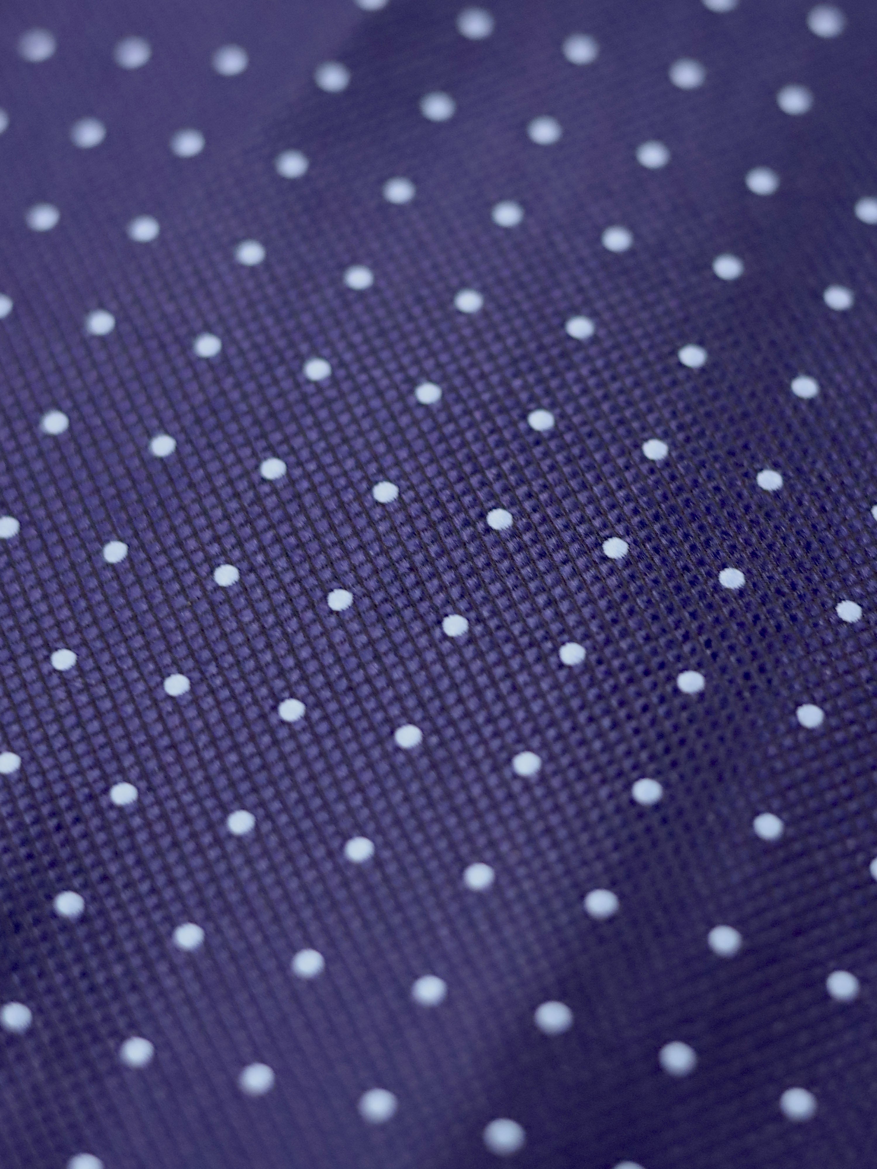 Ascot Tie Polka-dot Blue
